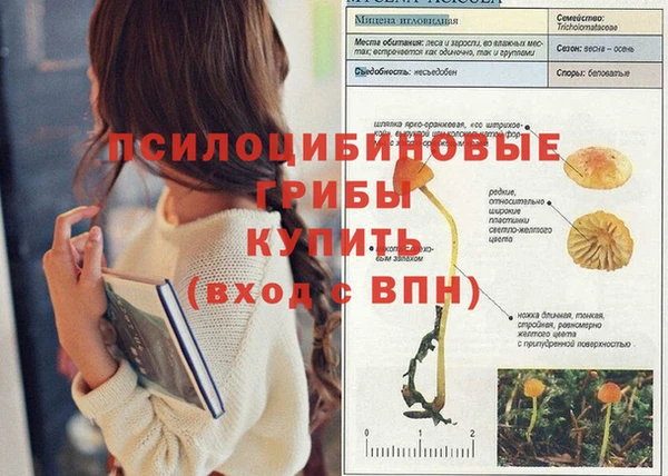 эйфоретик Лагань