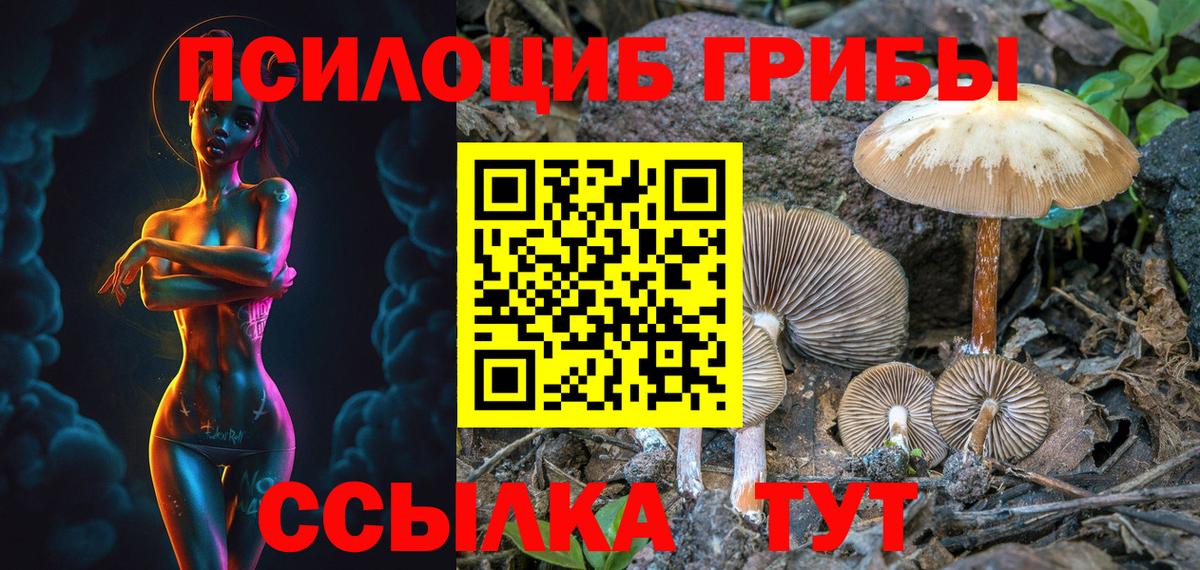 Галлюциногенные грибы Psilocybe  где можно купить наркотик  Ноябрьск  Вход с VPN  Галлюциногенные грибы MAGIC MUSHROOMS 