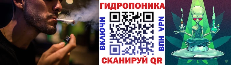 Шишки марихуана индика Ноябрьск